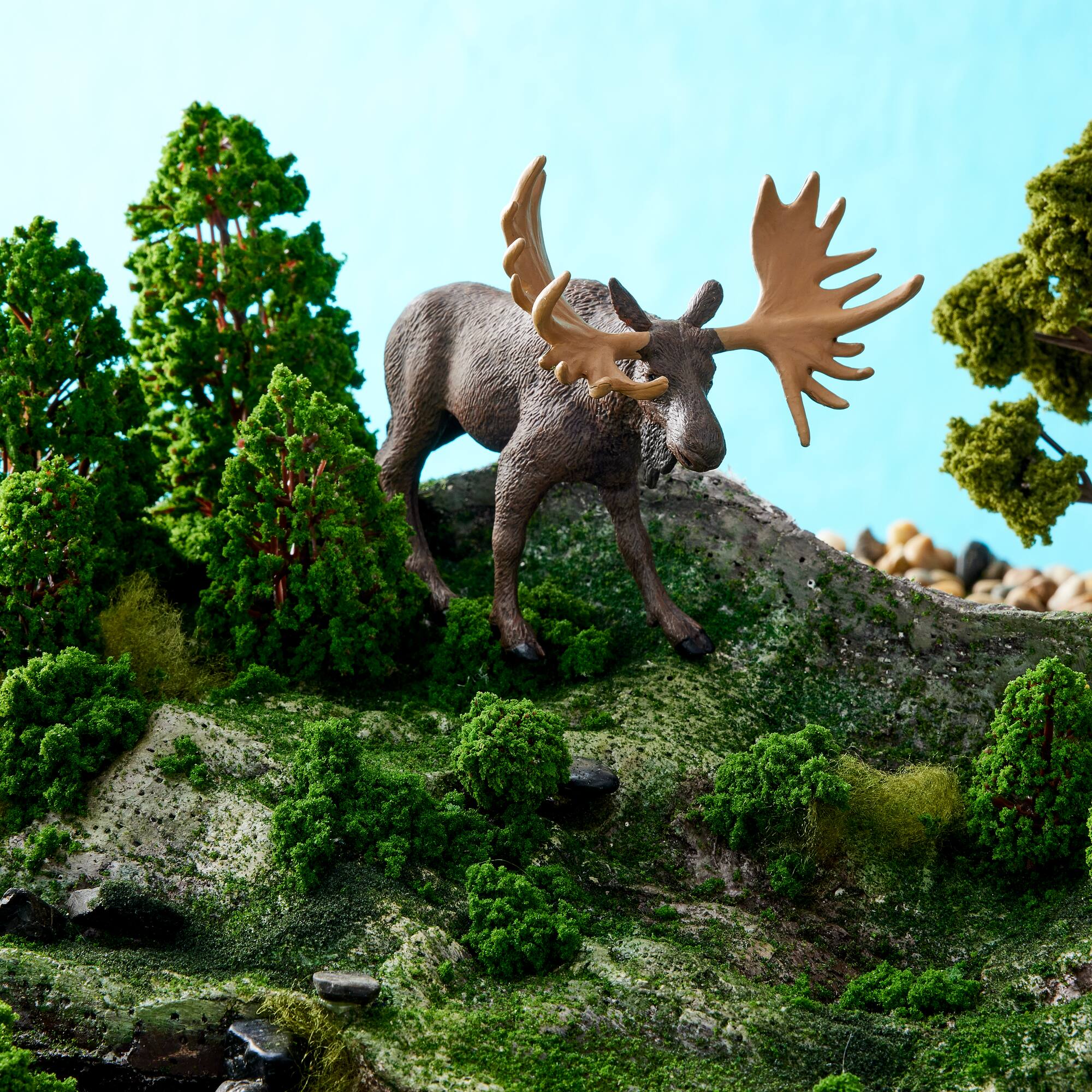 Safari Ltd® Moose